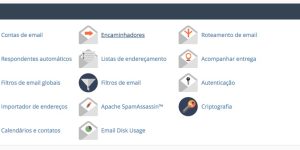 como ativar o SPF na hospedagem