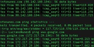 resultado ping ip dominio