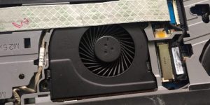 dell apitando tinha falha peculiar